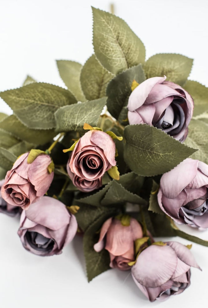 Purple Hazel Rose Bush - Greenery Market57330PU
