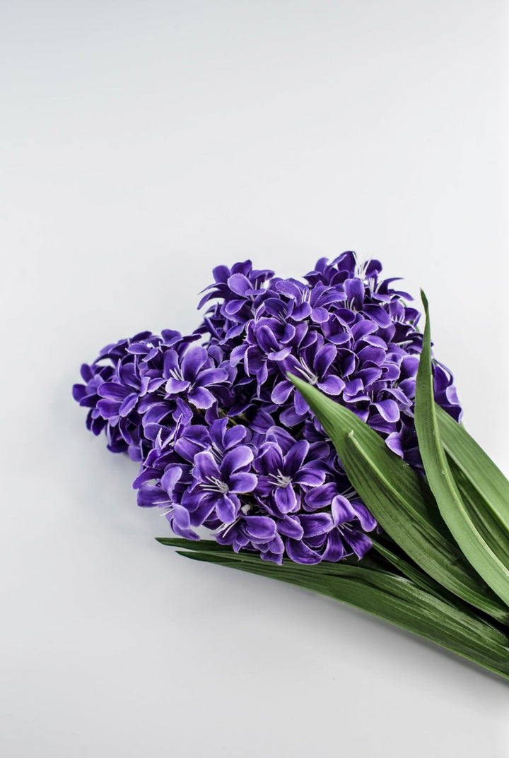 Purple hyacinth bush - Greenery Market84889 - PU