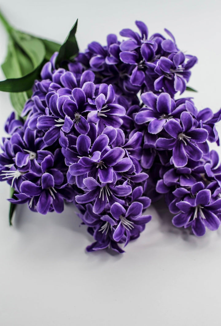 Purple hyacinth bush - Greenery Market84889 - PU