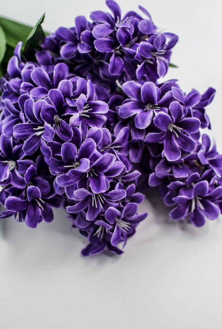 Purple hyacinth bush - Greenery Market84889 - PU