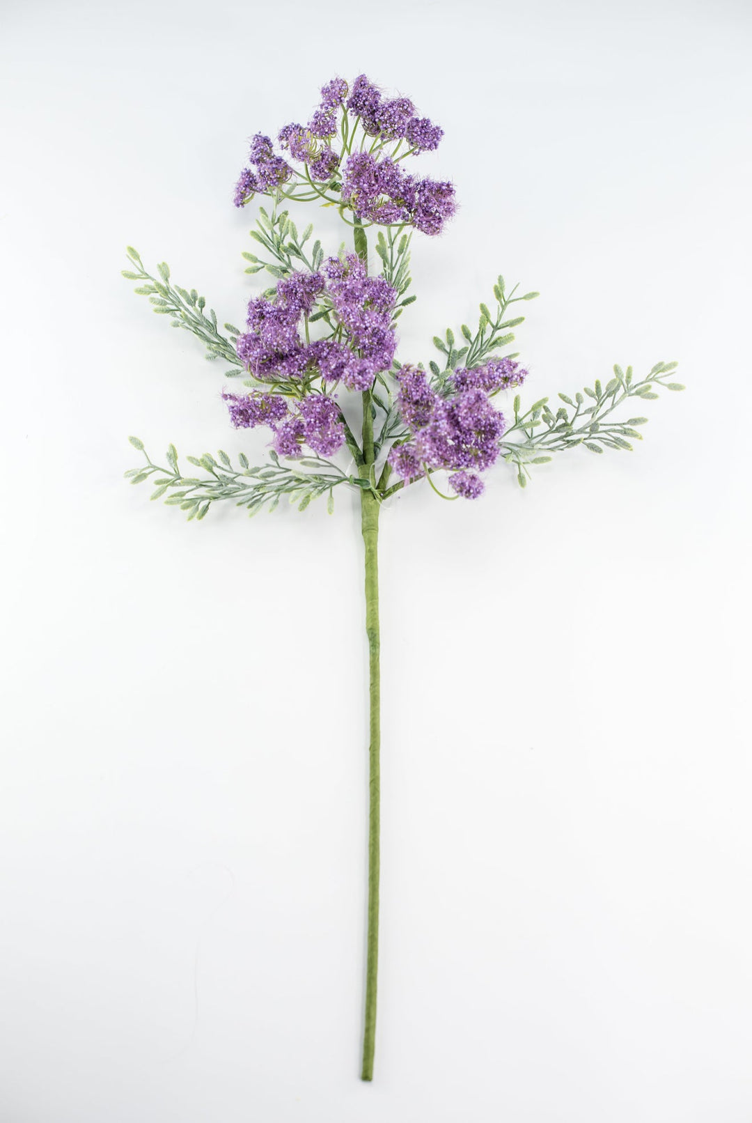 Queen Annes Lace Spray - Purple - Greenery Market64911 - PU