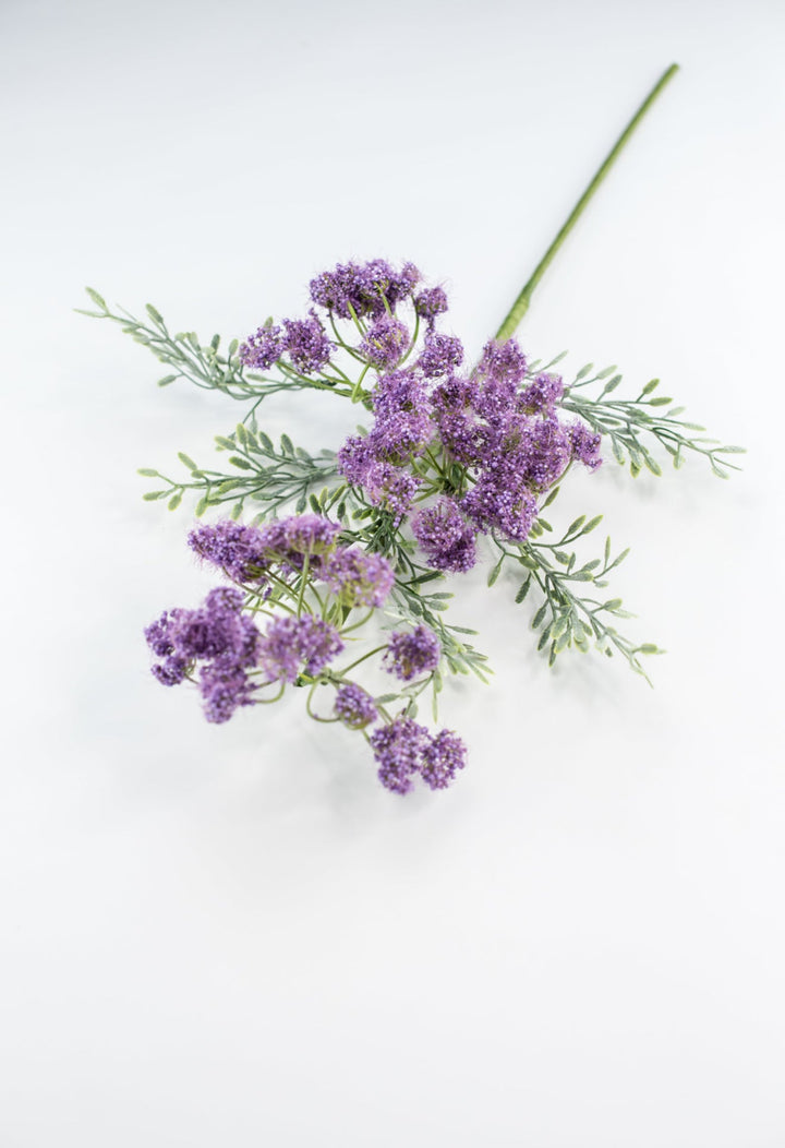 Queen Annes Lace Spray - Purple - Greenery Market64911 - PU