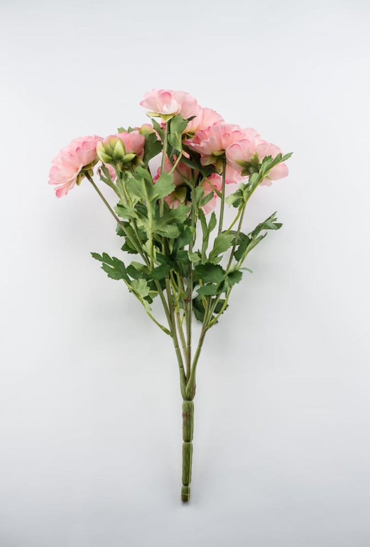Ranunculus bush - pink - Greenery Market27424