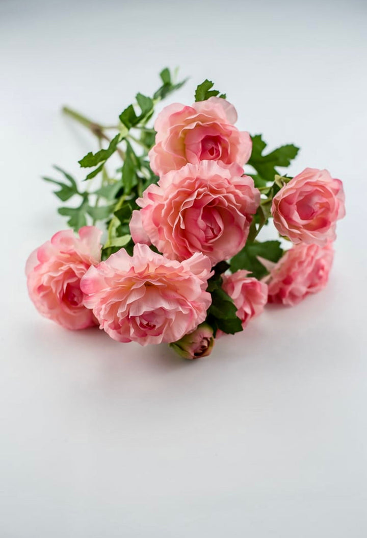 Ranunculus bush - pink - Greenery Market27424
