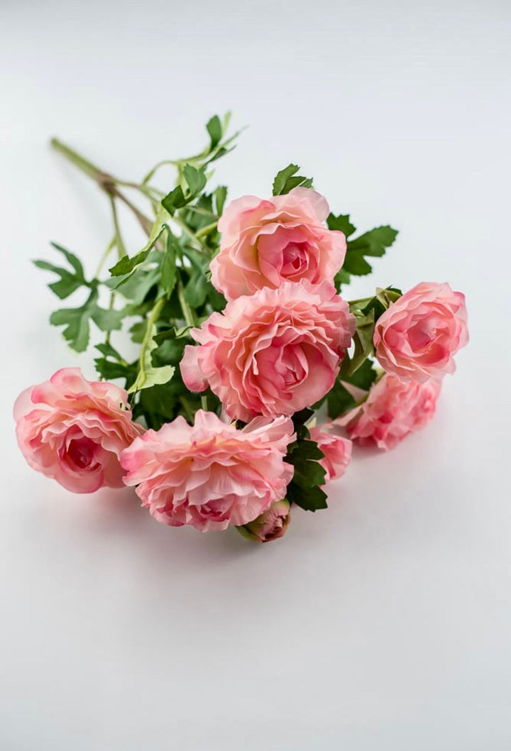 Ranunculus bush - pink - Greenery Market27424
