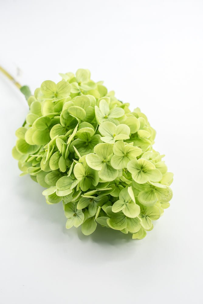 Real touch, Cone Hydrangea stem - green - Greenery MarketMTF24423 GRN