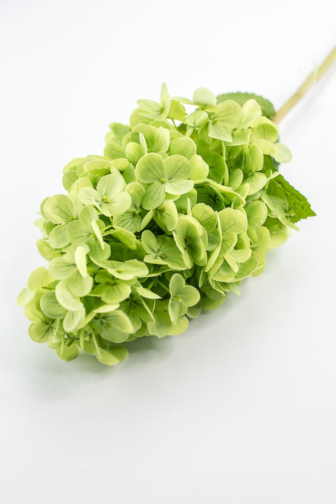 Real touch, Cone Hydrangea stem - green - Greenery MarketMTF24423 GRN