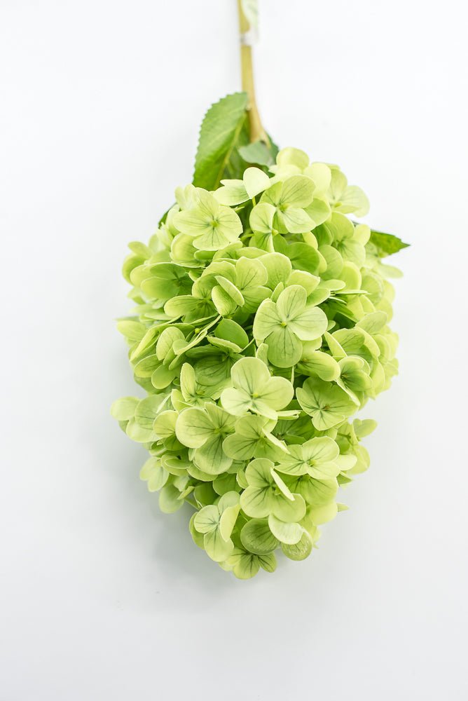Real touch, Cone Hydrangea stem - green - Greenery MarketMTF24423 GRN