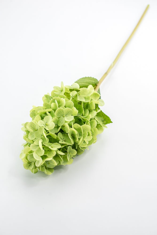 Real touch, Cone Hydrangea stem - green - Greenery MarketMTF24423 GRN