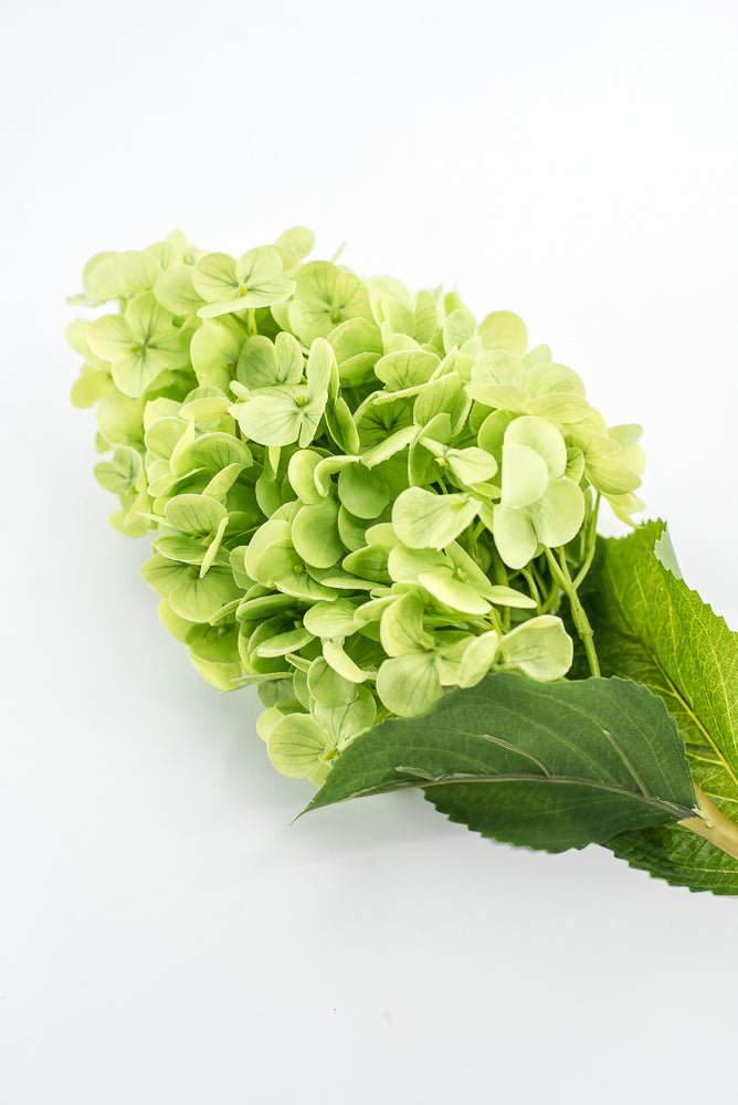 Real touch, Cone Hydrangea stem - green - Greenery MarketMTF24423 GRN