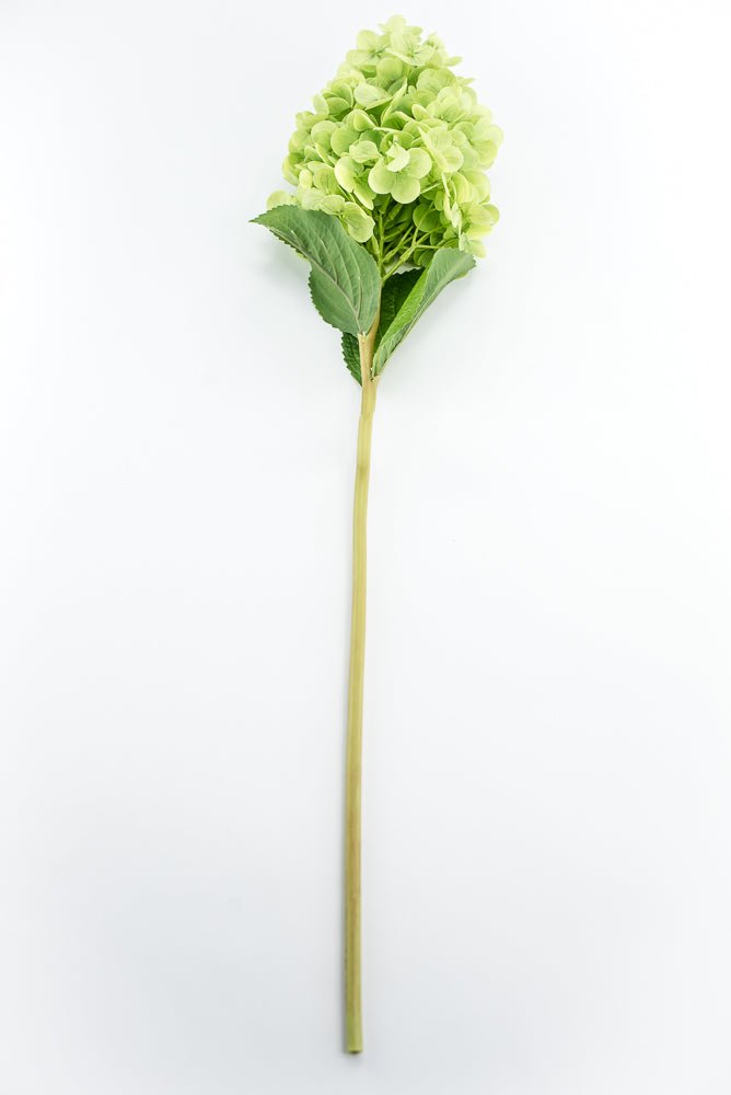 Real touch, Cone Hydrangea stem - green - Greenery MarketMTF24423 GRN