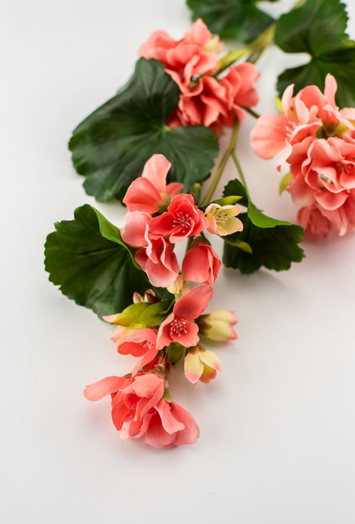 Real touch geranium spray, coral - Greenery Market2285221CO