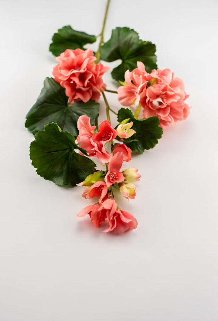 Real touch geranium spray, coral - Greenery Market2285221CO