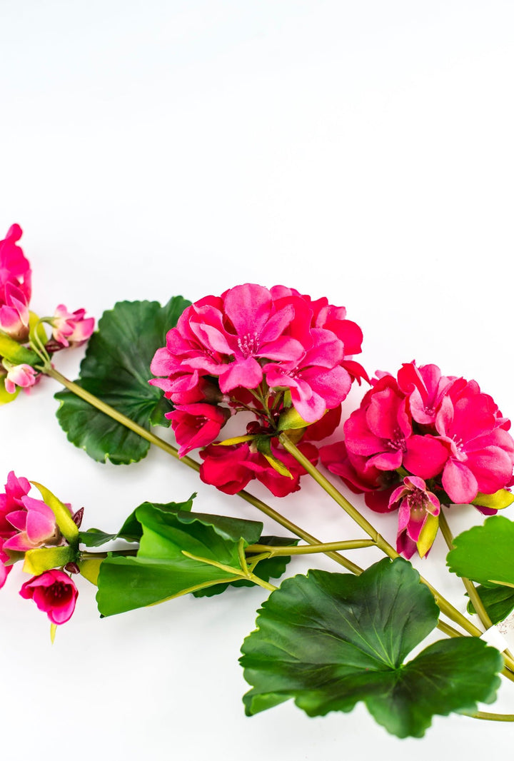 Real touch geranium spray, hot pink - Greenery Market2285221HP