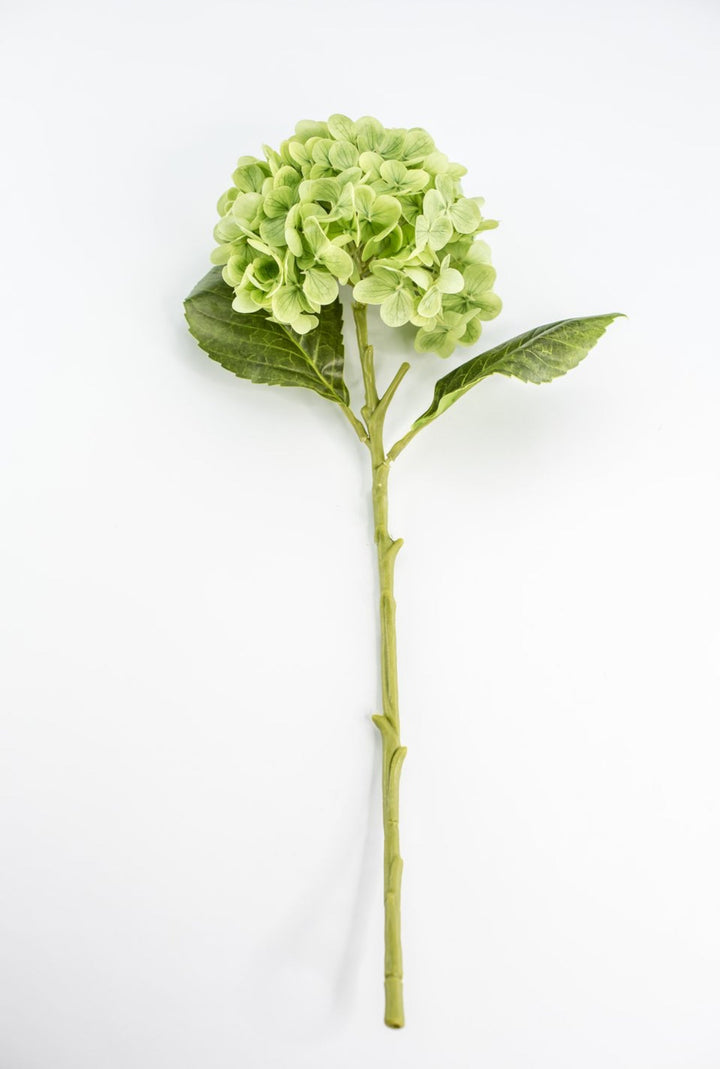 Real touch, Hydrangea stem - green - Greenery MarketMTF24138 GREEN