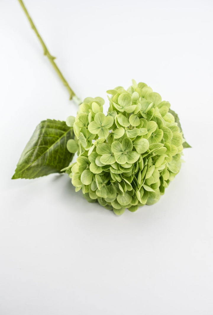 Real touch, Hydrangea stem - green - Greenery MarketMTF24138 GREEN