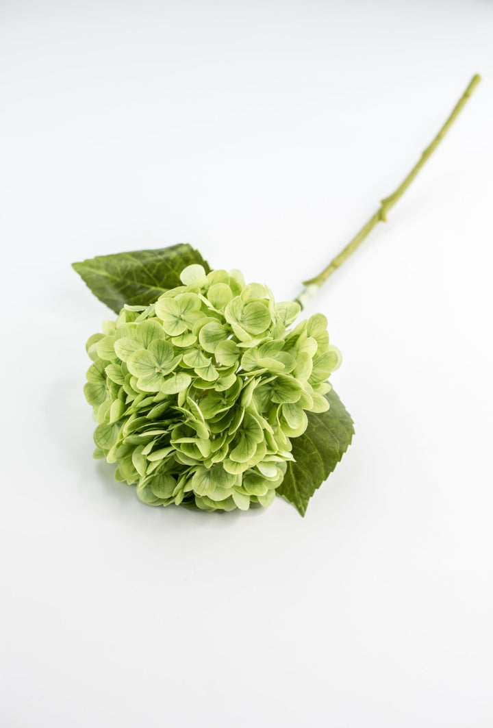 Real touch, Hydrangea stem - green - Greenery MarketMTF24138 GREEN