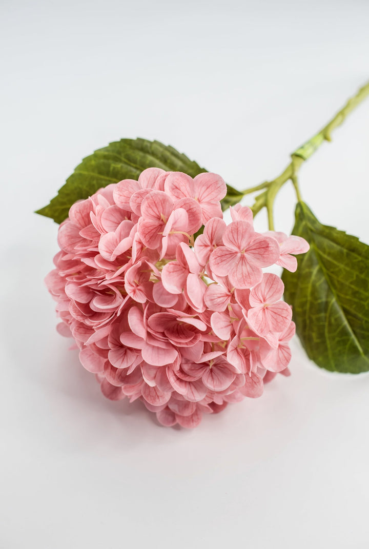 Real touch, Hydrangea stem - pink - Greenery MarketMTF24138 PINK