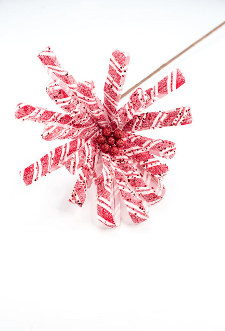 Red and white, shimmer ribbon poinsettia - Greenery Market86073RDWT