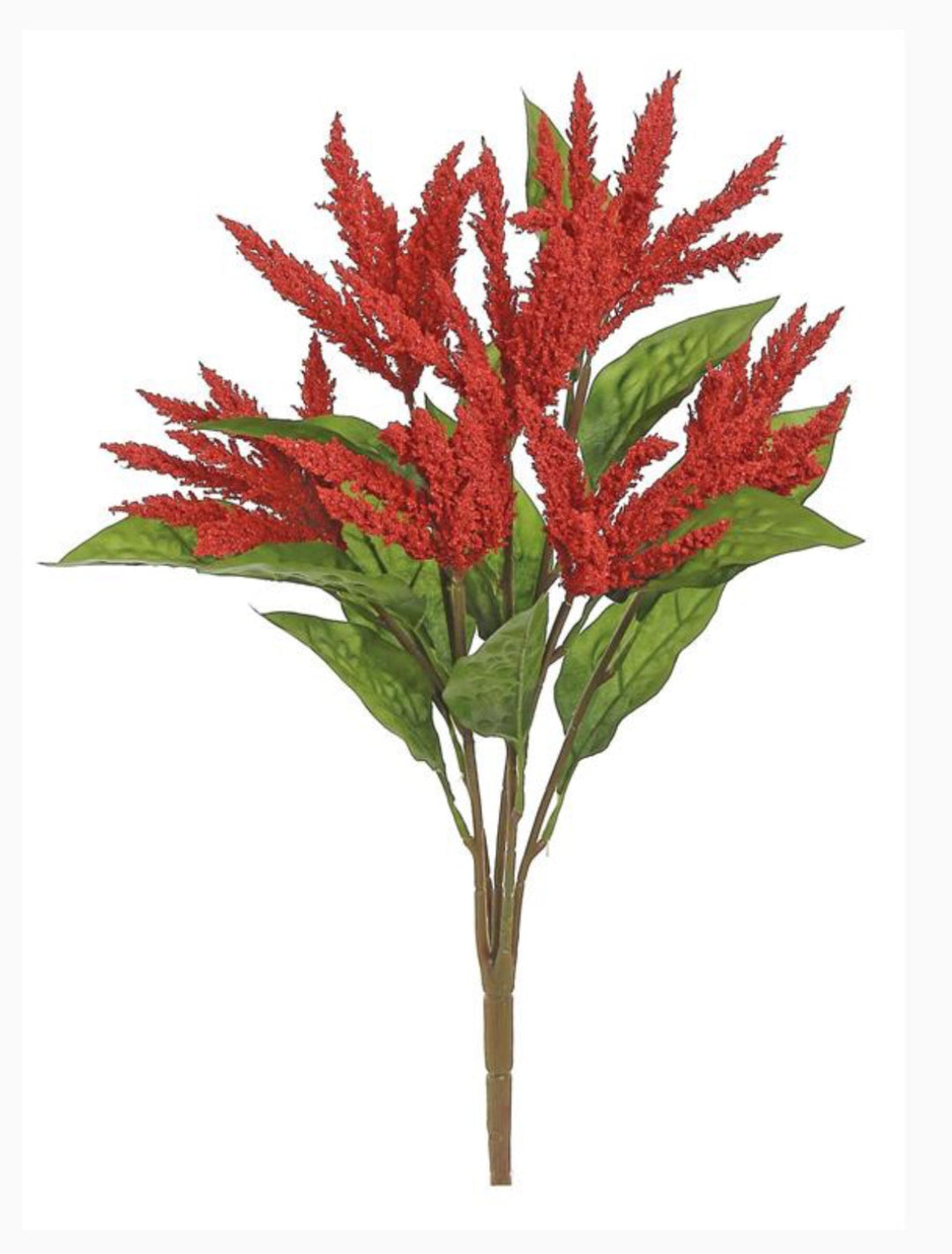 Red Celosia Bush - Greenery Market5411 - R