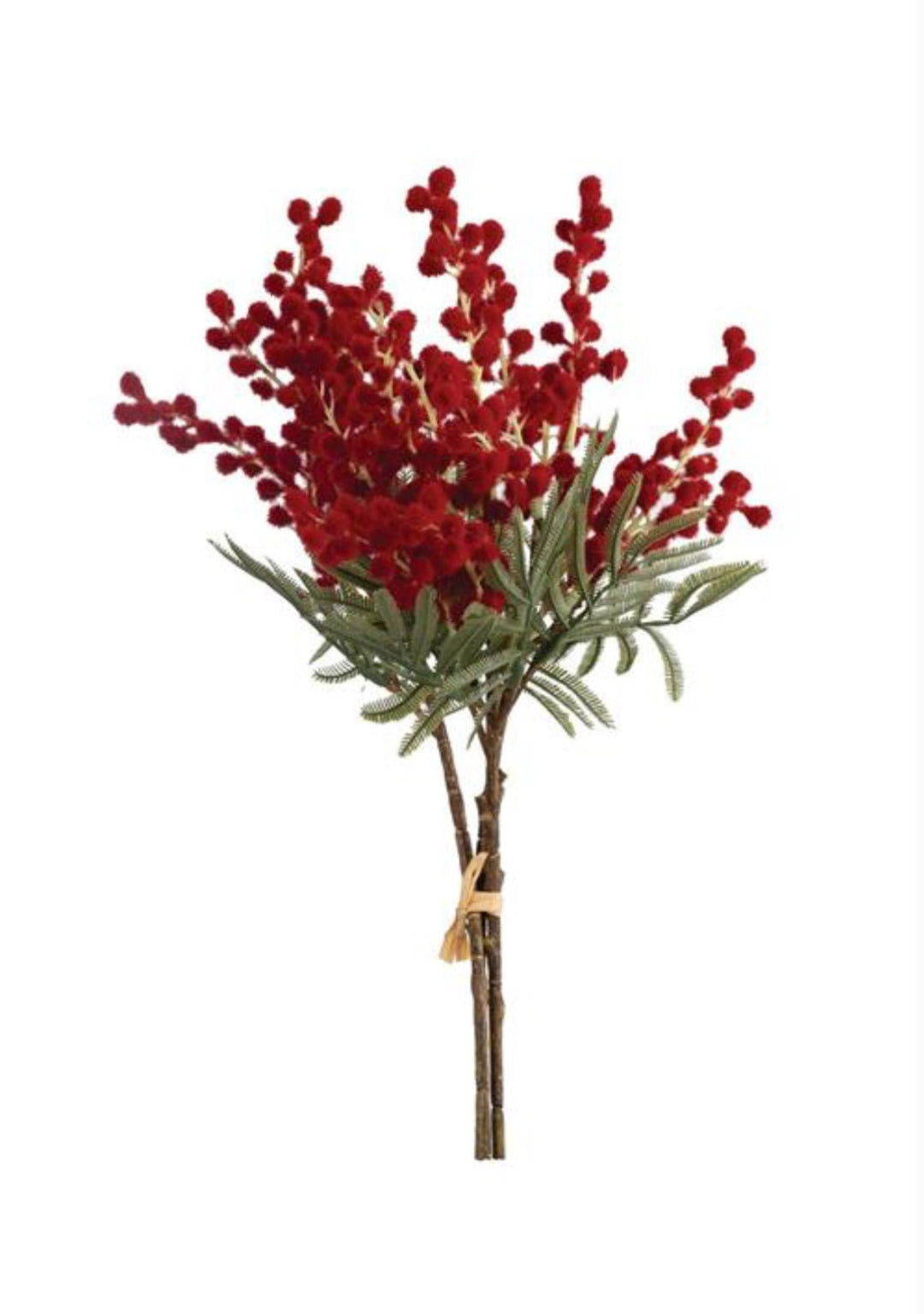 Red Mimosa Bundle - 15" - Greenery Market6470R