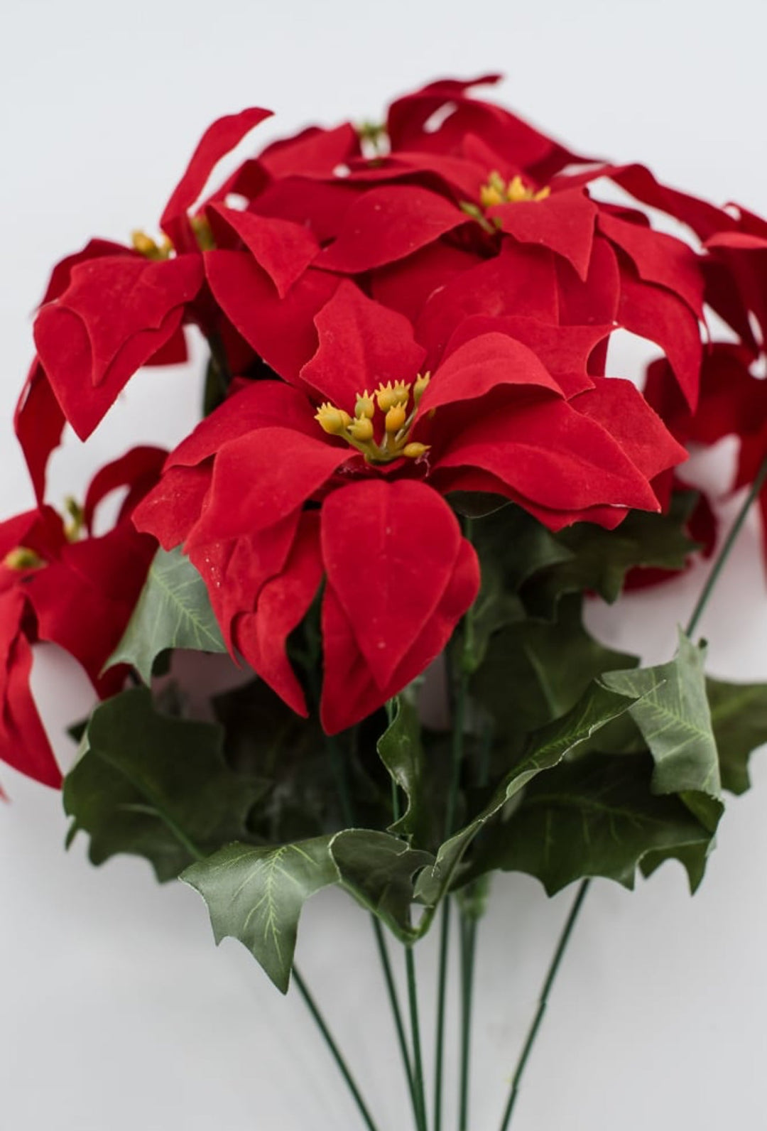 Red velvet poinsettia bush - Greenery Market84235RD