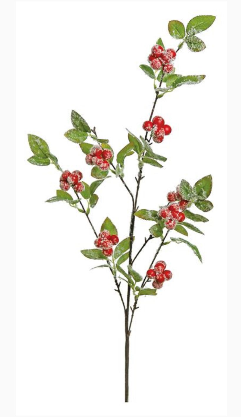 Red winter berry spray with snow - Greenery MarketXB582 - R