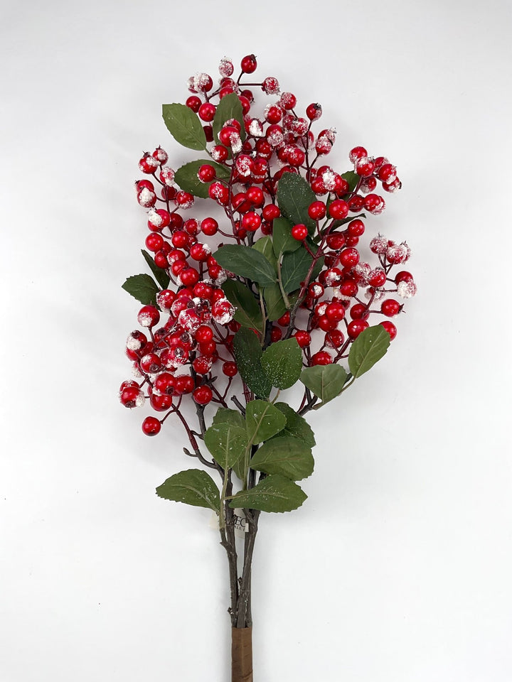 Red nandina berry spray with snow - Greenery MarketXB557 - RW