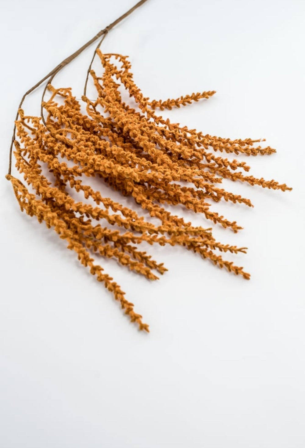 Rust Hanging Feather Reed Spray - Greenery Market57273RUST