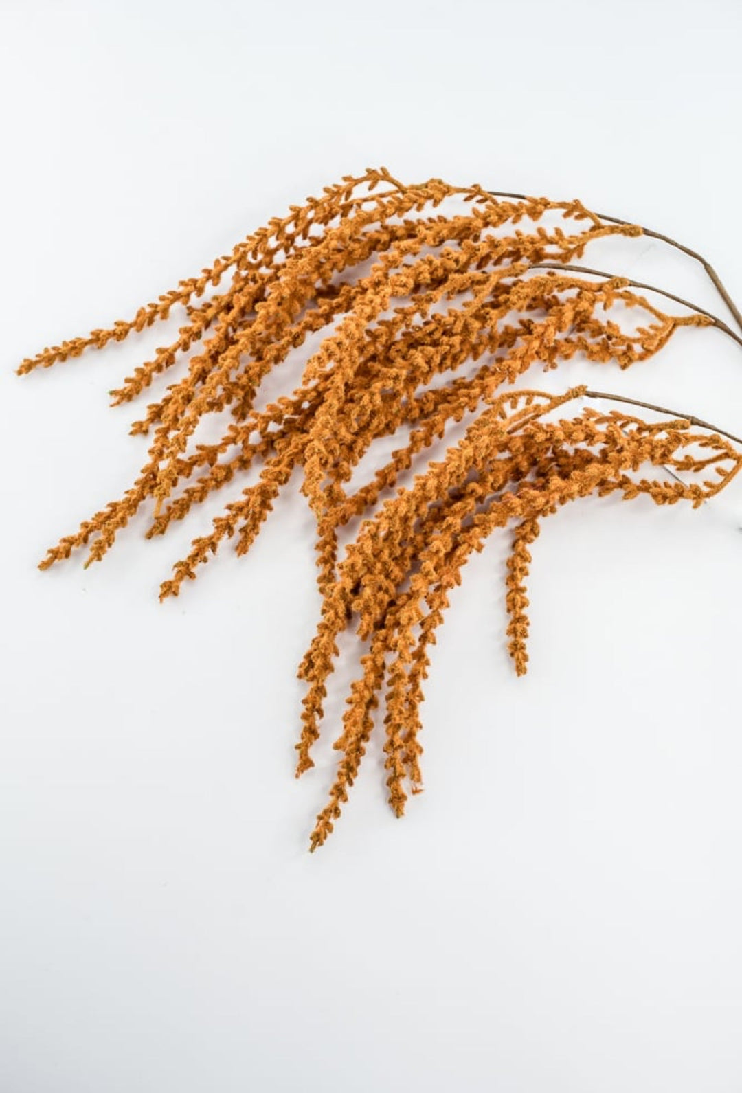 Rust Hanging Feather Reed Spray - Greenery Market57273RUST