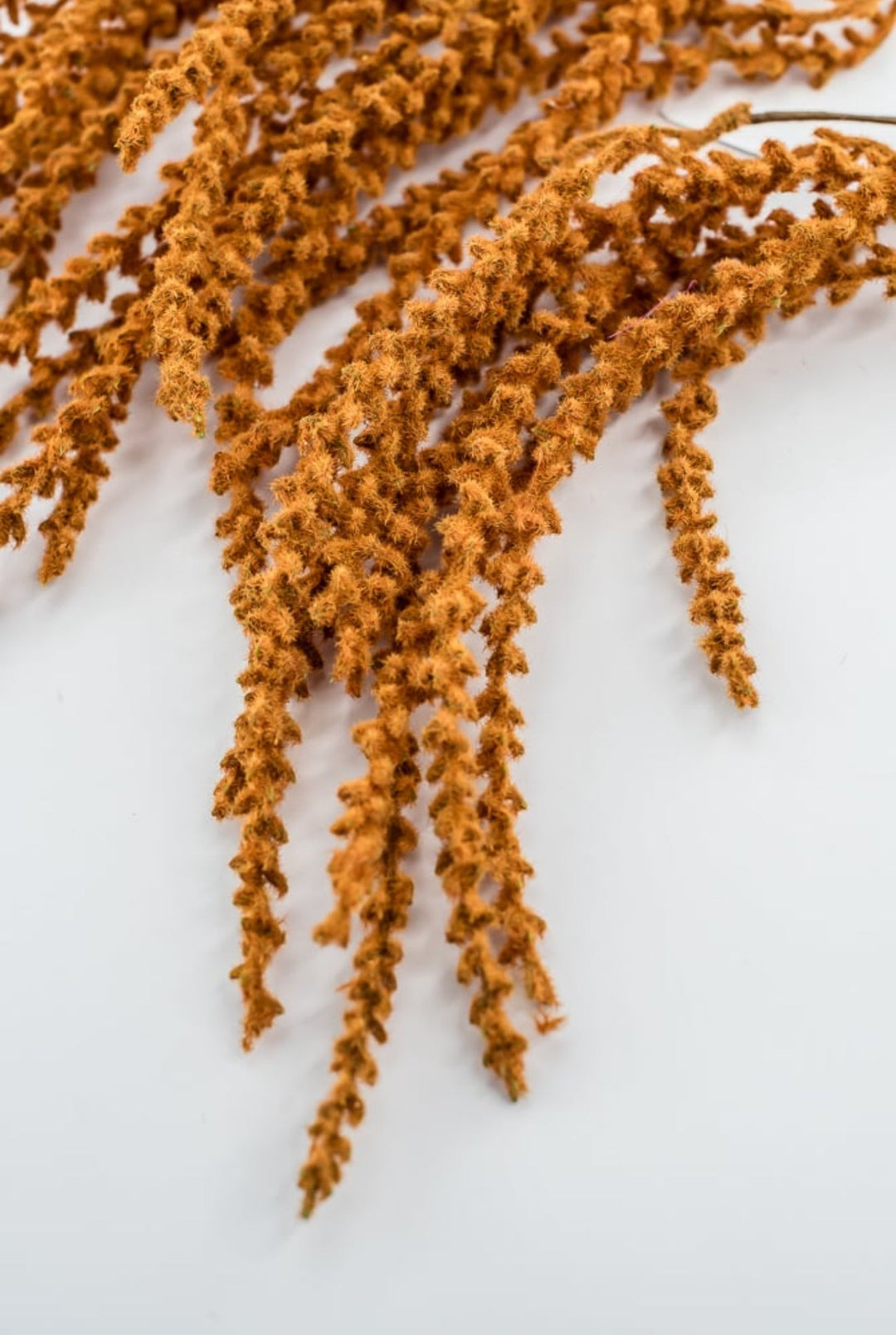 Rust Hanging Feather Reed Spray - Greenery Market57273RUST