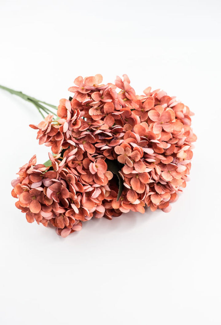 Rust Hydrangea Bush - Greenery Market57328RUST