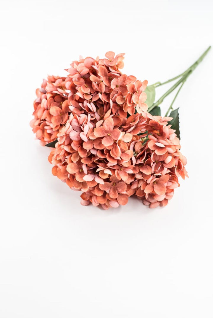 Rust Hydrangea Bush - Greenery Market57328RUST