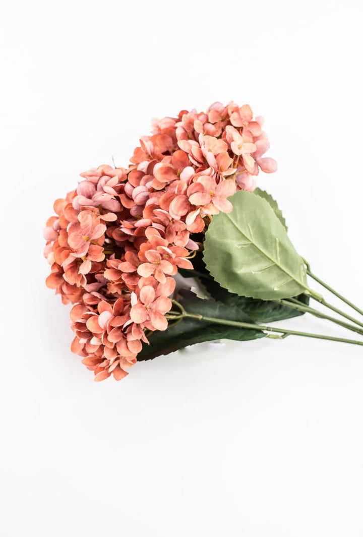 Rust Hydrangea Bush - Greenery Market57328RUST