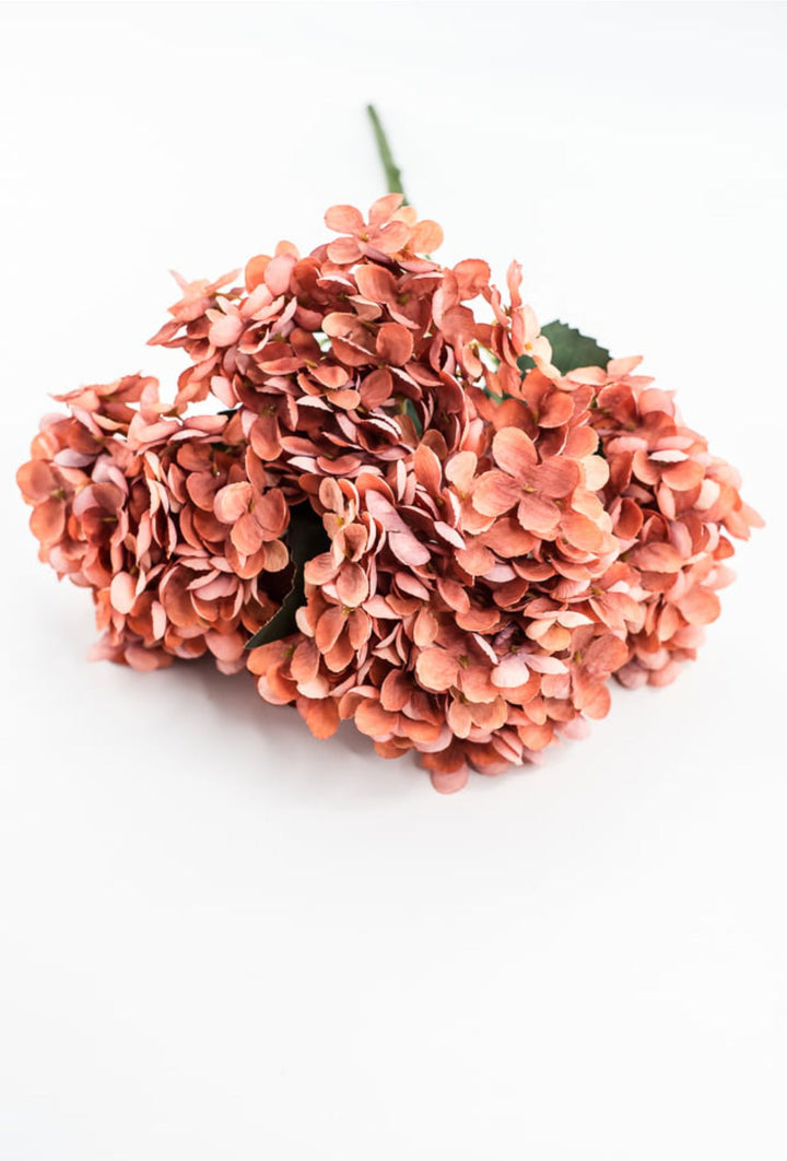 Rust Hydrangea Bush - Greenery Market57328RUST