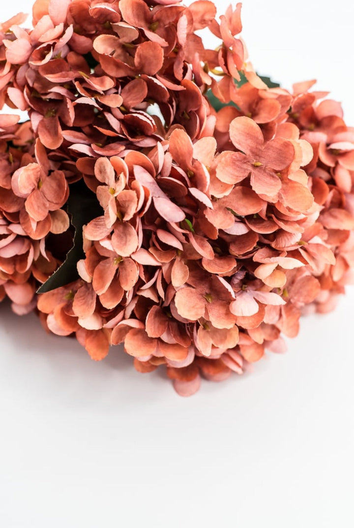 Rust Hydrangea Bush - Greenery Market57328RUST