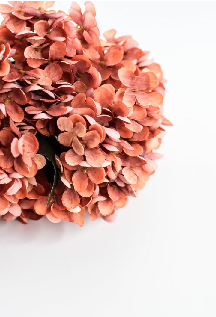 Rust Hydrangea Bush - Greenery Market57328RUST