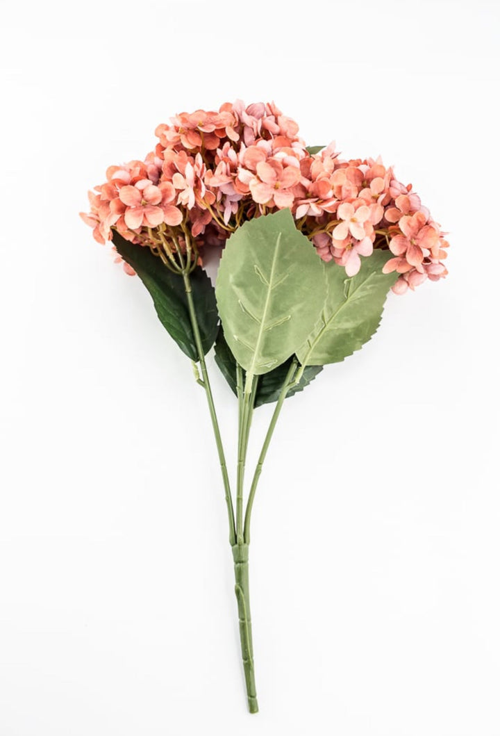 Rust Hydrangea Bush - Greenery Market57328RUST