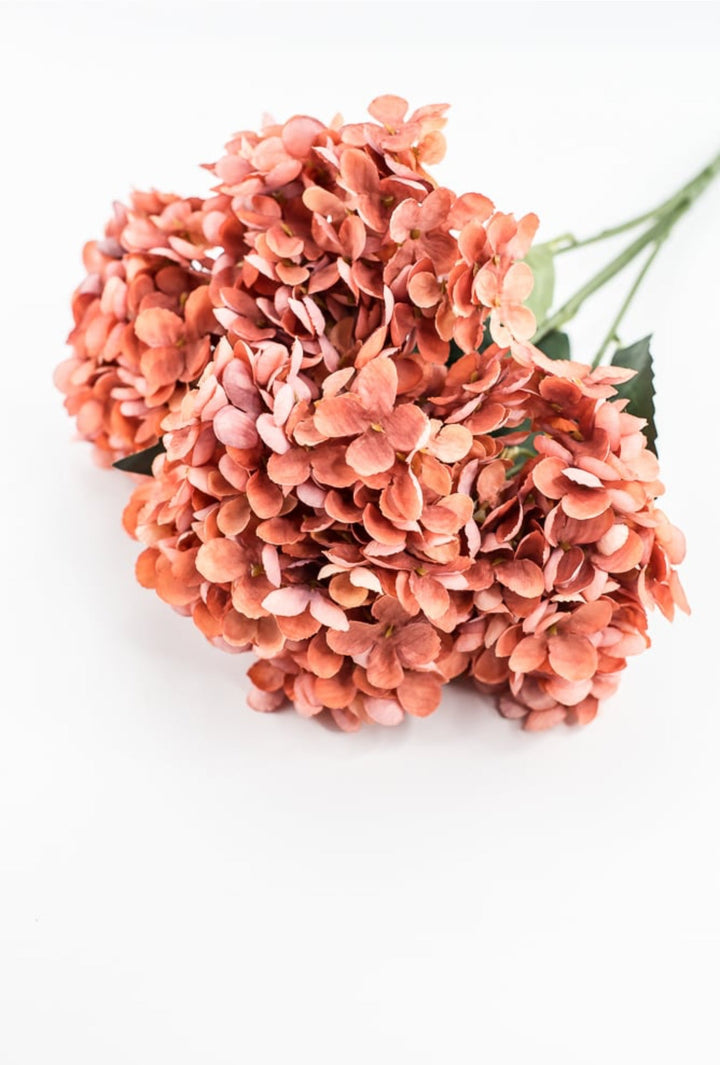 Rust Hydrangea Bush - Greenery Market57328RUST