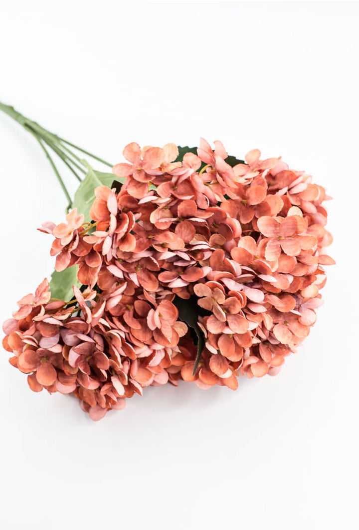 Rust Hydrangea Bush - Greenery Market57328RUST