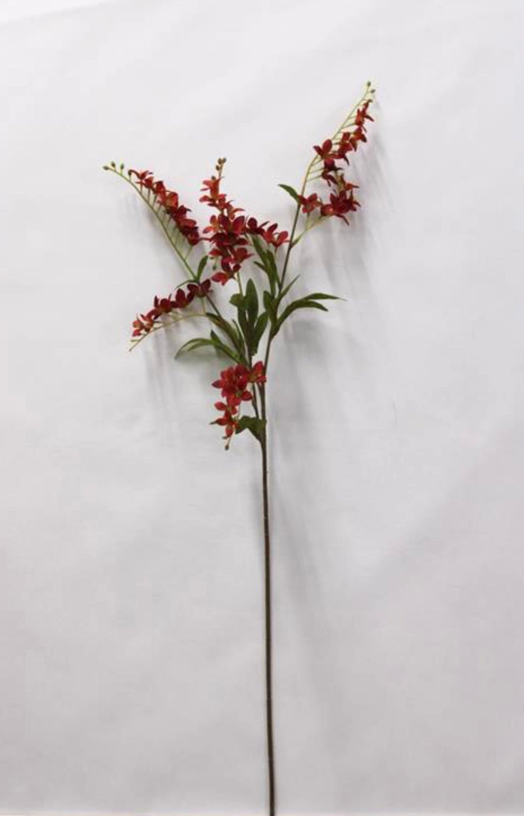 Rust Wild Vinca Spray - 31" - Greenery Market6590RT