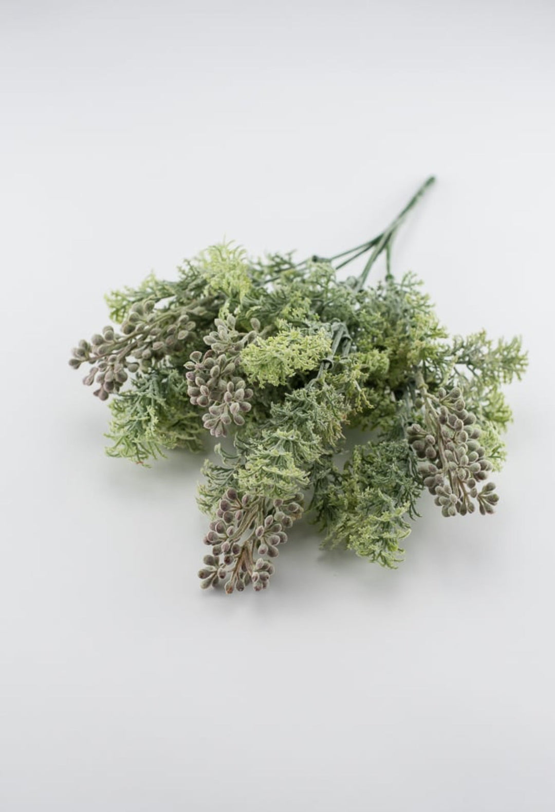 Sage green lace leaf greenery bush - Greenery MarketFL4522 - SG