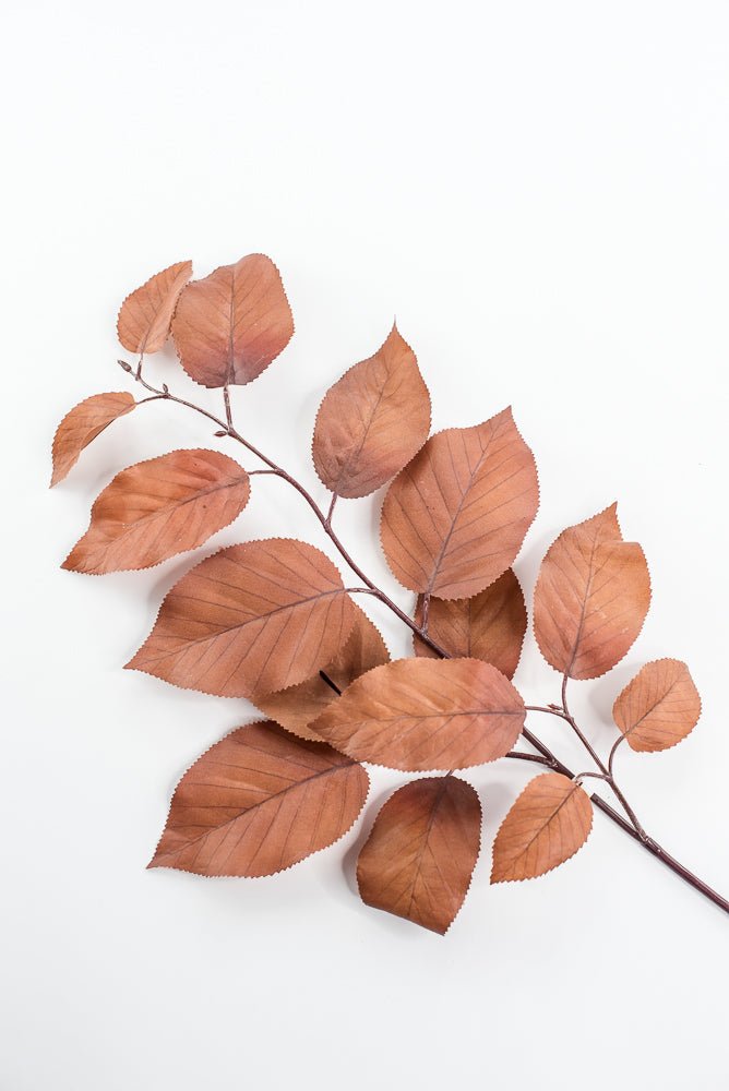 Salal leaves spray - Coffee - Greenery MarketFL5716 - COF