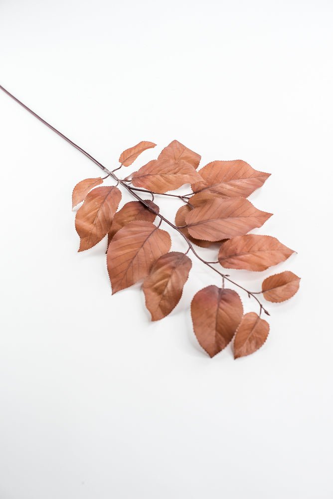 Salal leaves spray - Coffee - Greenery MarketFL5716 - COF