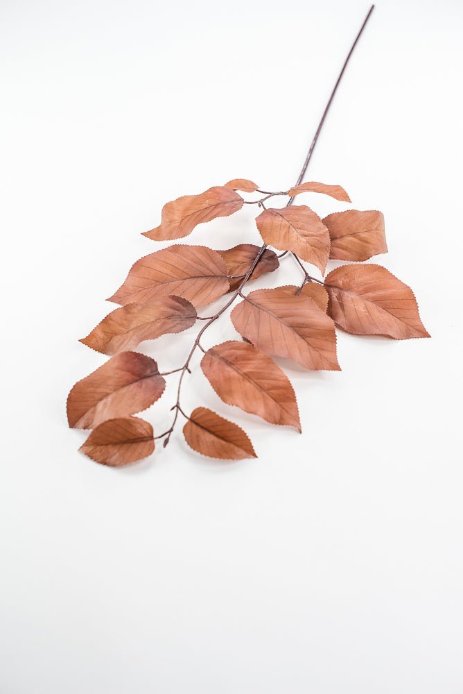 Salal leaves spray - Coffee - Greenery MarketFL5716 - COF