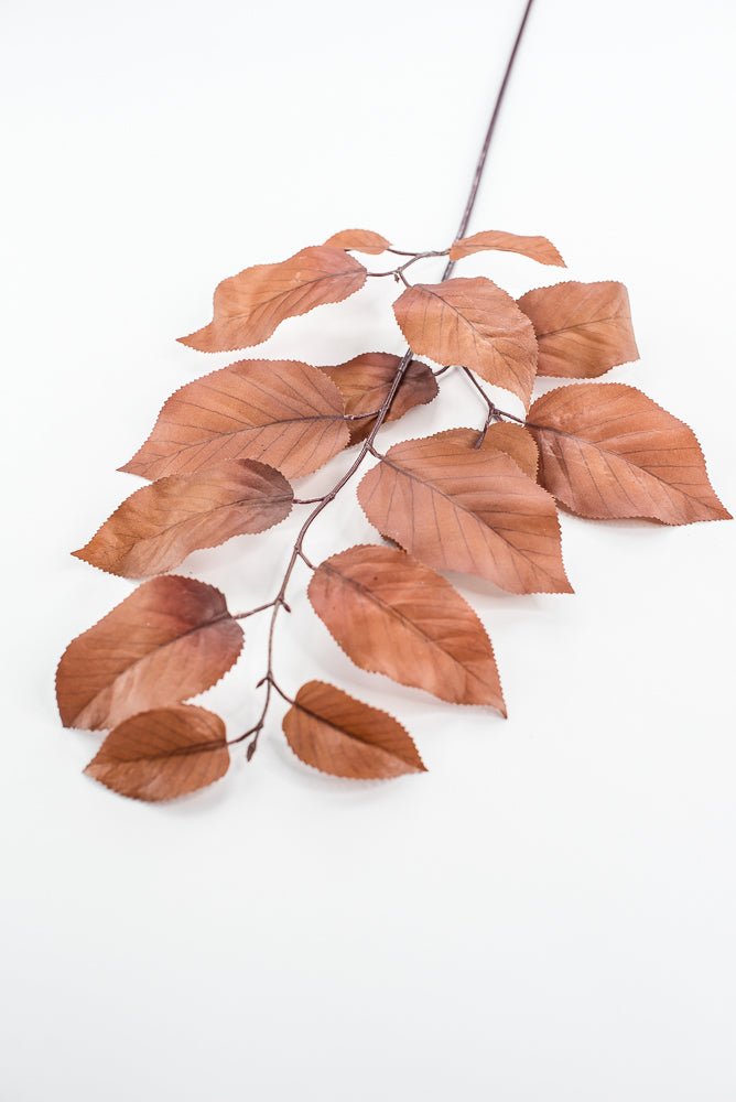 Salal leaves spray - Coffee - Greenery MarketFL5716 - COF