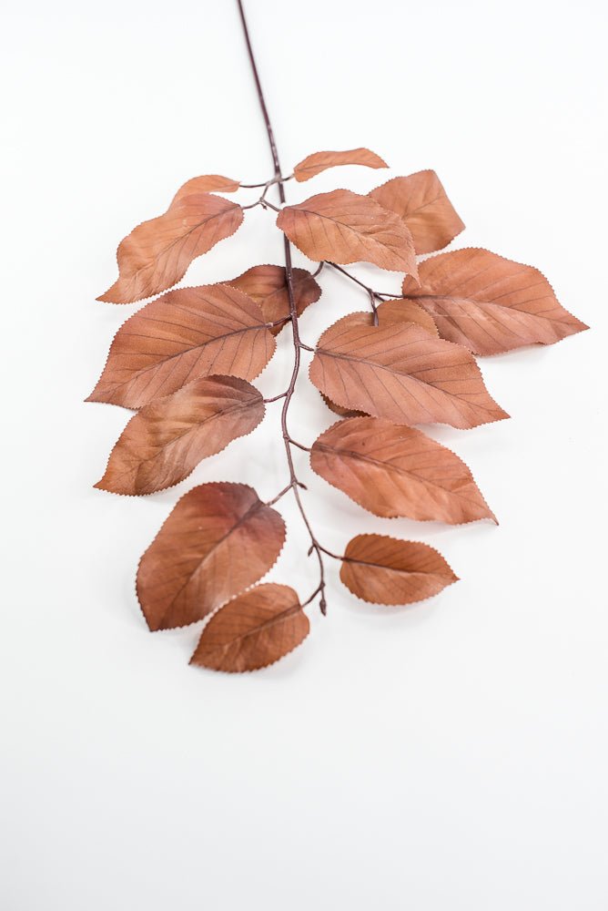 Salal leaves spray - Coffee - Greenery MarketFL5716 - COF