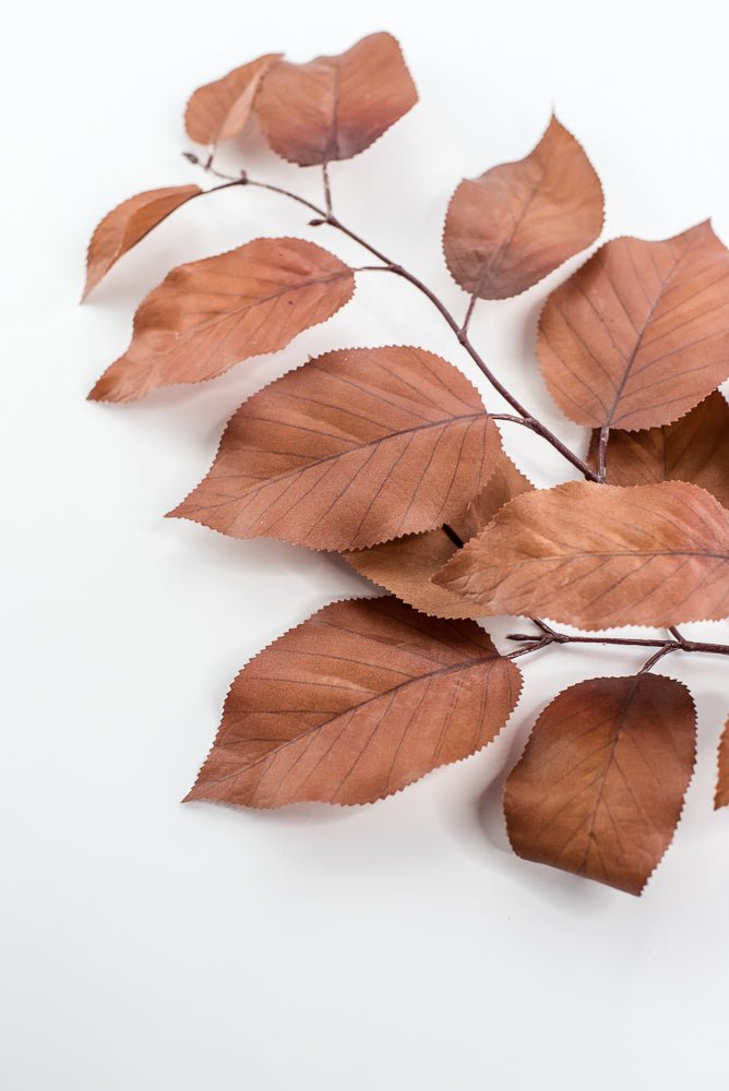 Salal leaves spray - Coffee - Greenery MarketFL5716 - COF