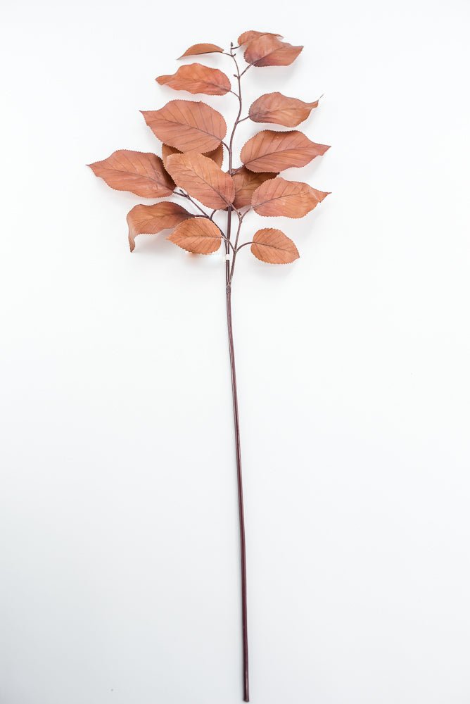 Salal leaves spray - Coffee - Greenery MarketFL5716 - COF