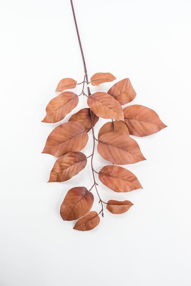 Salal leaves spray - Coffee - Greenery MarketFL5716 - COF